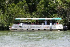 jamaica-get-away-tours-black-river-safari-4
