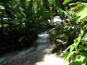 enchanted-gardens-jamaica-tours-2