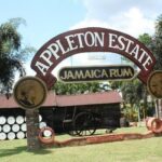 appleton-estate-rum-tour
