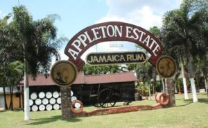 appleton-estate-rum-tour