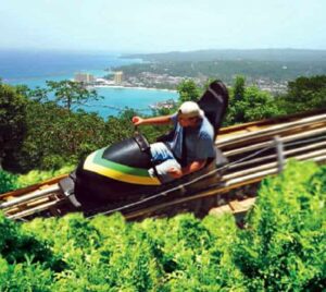 Dunn's River Falls and Bobsled Adventure Ride From Montego Bay
