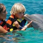 dolphin-cove-ocho-rios-jamaica-tours