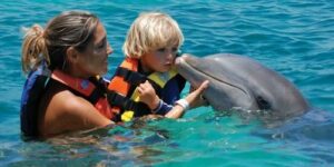 dolphin-cove-ocho-rios-jamaica-tours