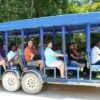 jamaica-get-away-travels-ys-falls
