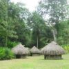 cranbrook-flower-forest-attraction