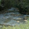 jamaica-get-away-travels-cranbrook-tour