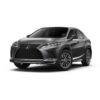 transfers-from-montego-bay-airport-to-burlingame-villa