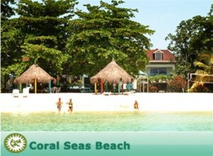 carol-seas-beach-resort-private-airport-transfers