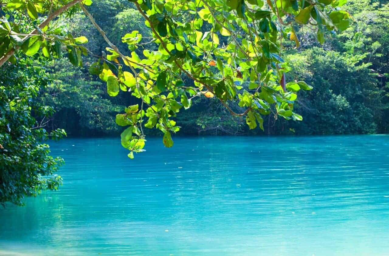 blue lagoon jamaica tour
