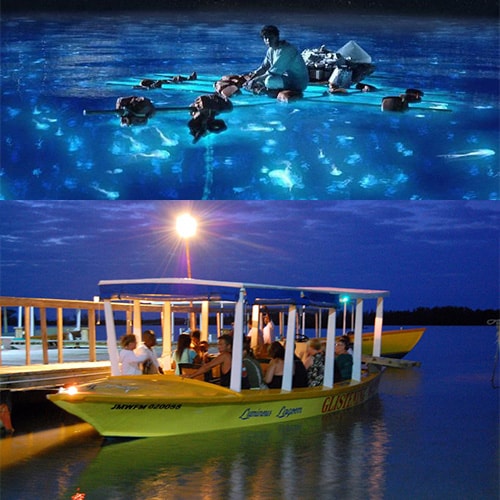 luminous lagoon excursions jamaica reviews